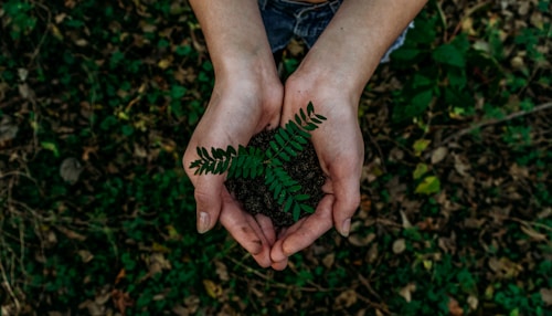 Sustainable environment